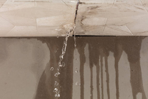 Professional Sewage Cleanup technician working in Westland, MI